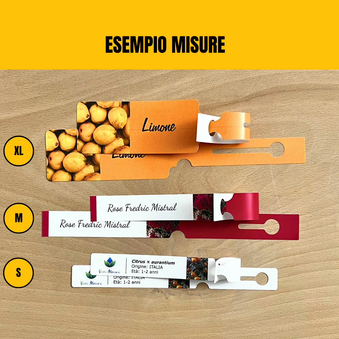 Etichette Collarini Cartellini per Piante